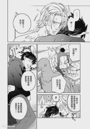第164頁圖