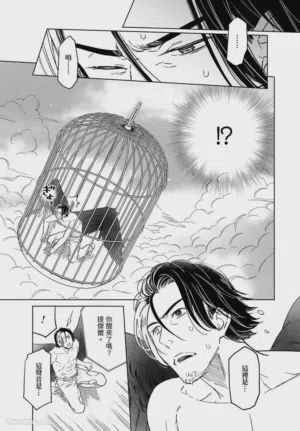 第161頁圖