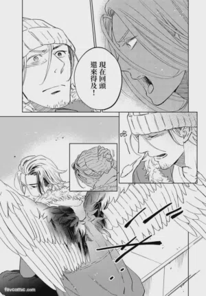 第43頁圖