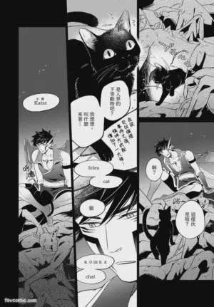第60頁圖