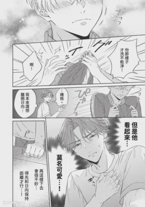 第13頁圖