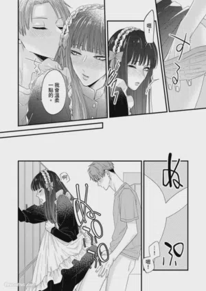第219頁圖