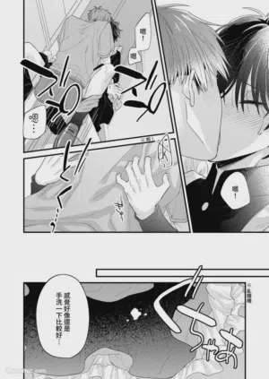 第223頁圖