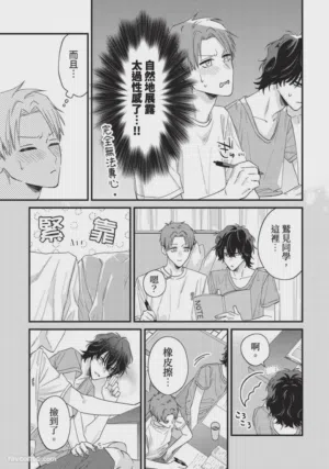 第233頁圖