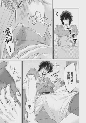 第239頁圖