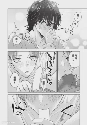 第240頁圖