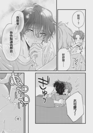 第243頁圖