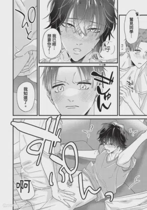 第244頁圖