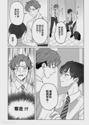 第17页图