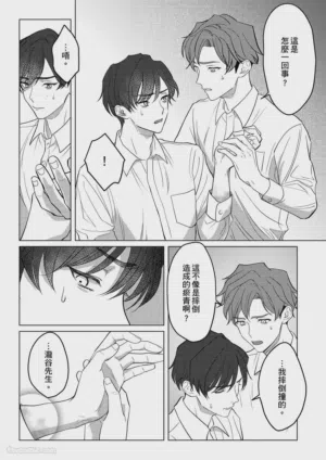 第8页图