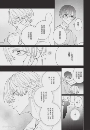 第204頁圖