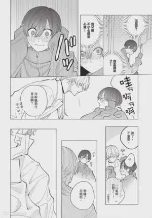 第213頁圖
