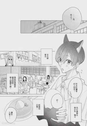 第224頁圖