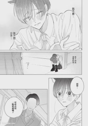 第228頁圖