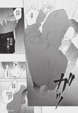 第231頁圖
