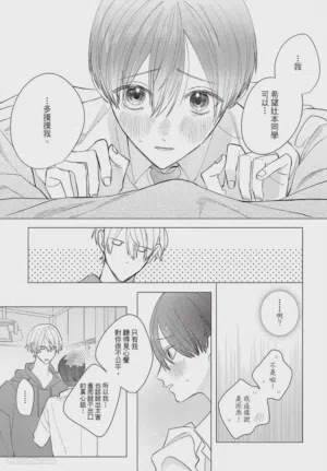 第238頁圖