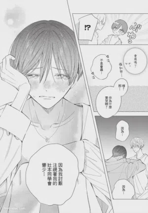 第213页图