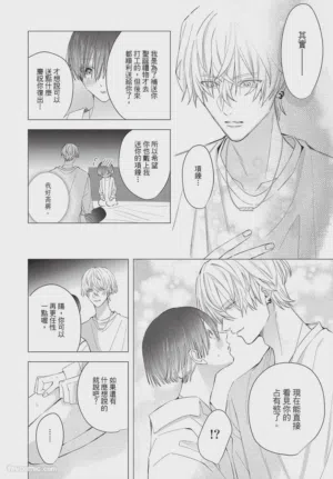 第217页图