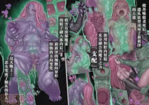 第11頁圖