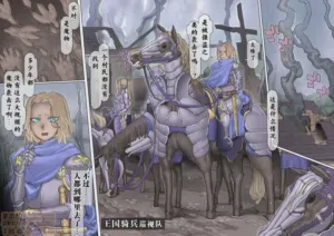 第68頁圖
