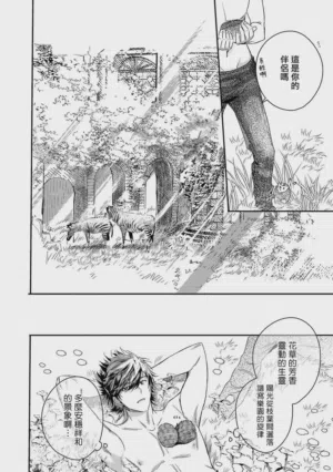 第309頁圖