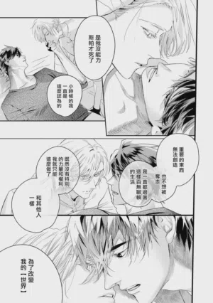 第384頁圖