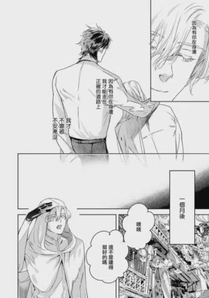 第399頁圖