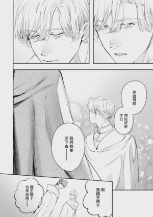 第410頁圖