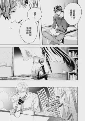 第419頁圖