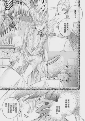 第510頁圖