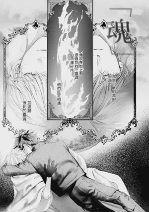 第548頁圖