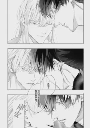 第549頁圖