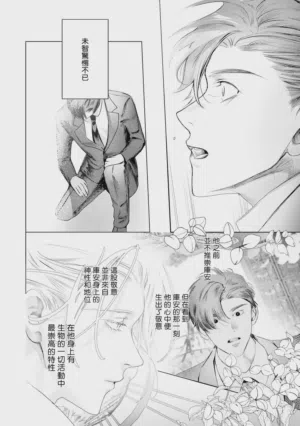 第567頁圖