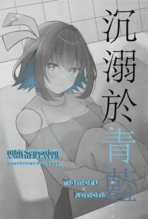 第2页图