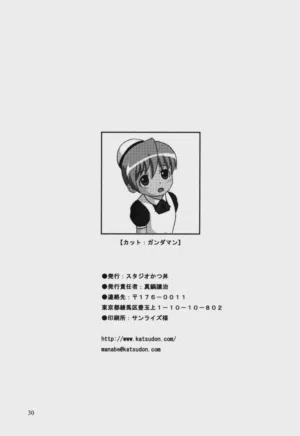 第29頁圖