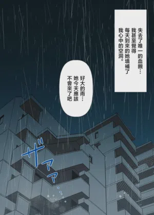 第84頁圖