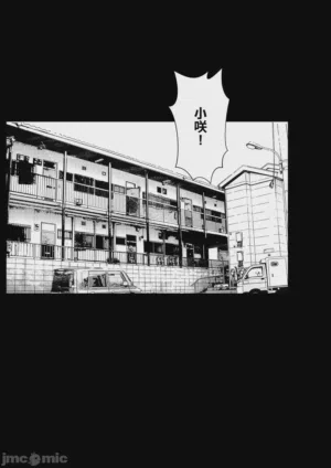 第86頁圖