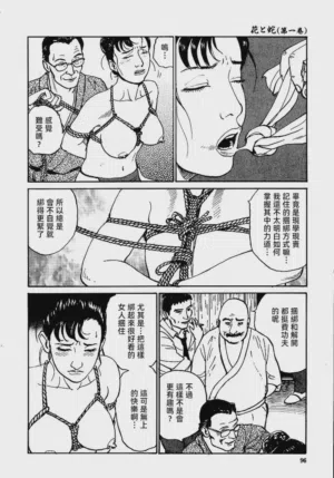 第102頁圖