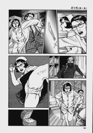 第204頁圖
