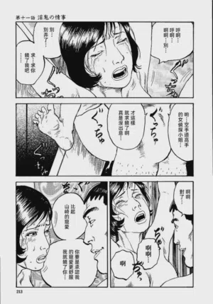 第219頁圖