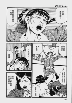 第222頁圖