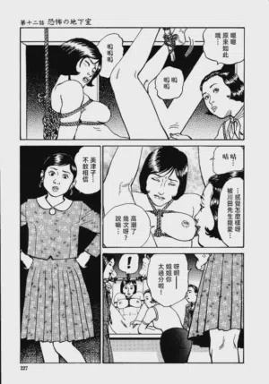 第233頁圖