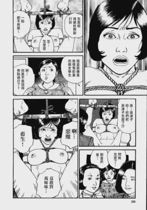 第234頁圖
