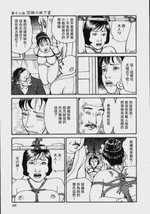 第243頁圖
