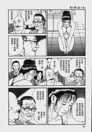 第248頁圖