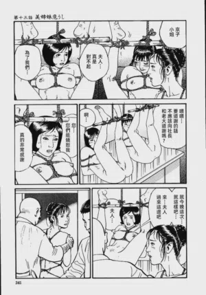 第251頁圖