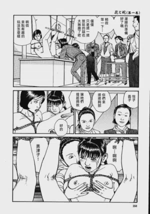 第256頁圖