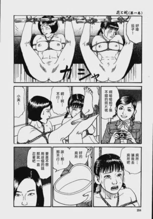 第264頁圖