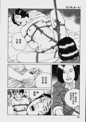 第274頁圖