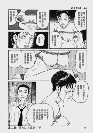 第46頁圖